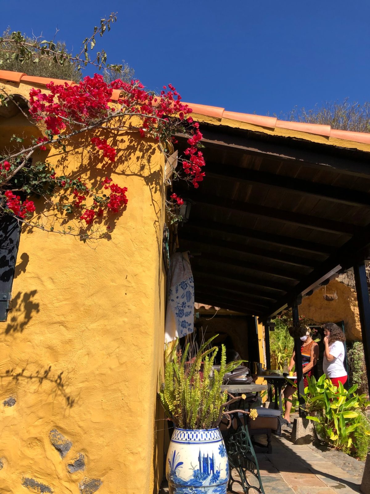 21+ Best Bilder Gran Canaria Haus Kaufen Typical Haus
